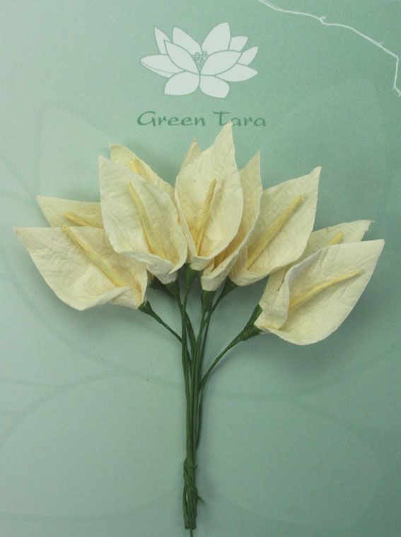 Green Tara  - Calla Lillies - Ivory with Pale Yellow Stamen