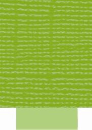 Core'dinations Cardstock - Lime