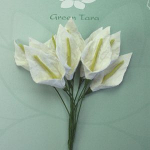 Green Tara -  Calla Lillies - White with Pale Green Stamen