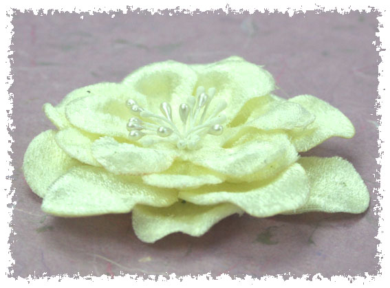 Green Tara  - Velvet Rose 8cm - Cream