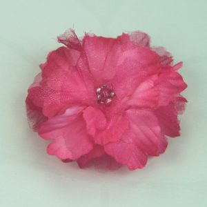 Green Tara - Primula 4.5cm- Hot Pink
