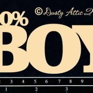 Dusty Attic - 100% Boy