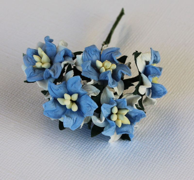 Mulberry Flowers - Gardenia - Small - Blue & White