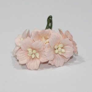 Mulberry Flowers - Apple Blossom - Peach