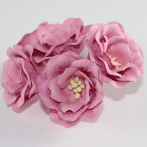 Magnolia - Bright Pink
