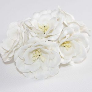 Magnolia - White