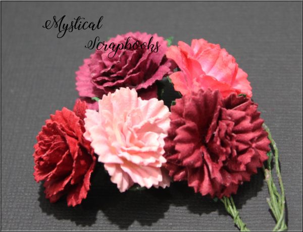 Mulberry Flowers - Carnations - Mixed Reds