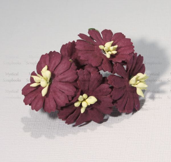 Mulberry Flowers - Cosmon Daisy - Burgundy