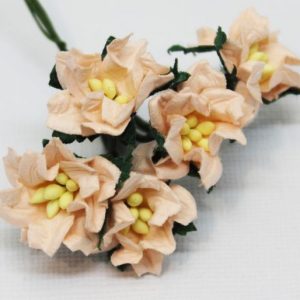 Mulberry Flowers - Gardenia - Small - Coral