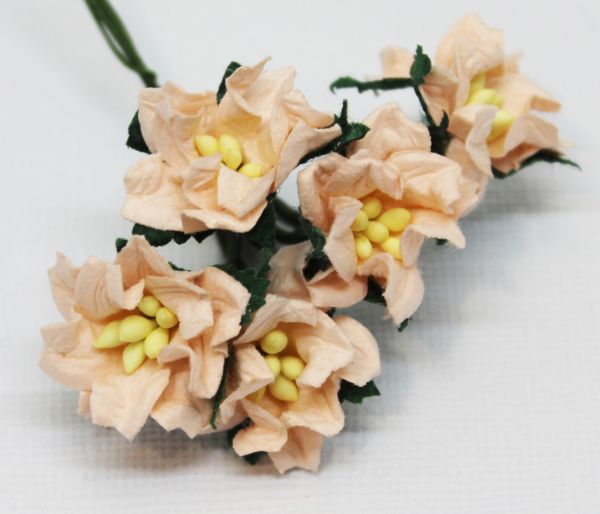 Mulberry Flowers - Gardenia - Small - Coral