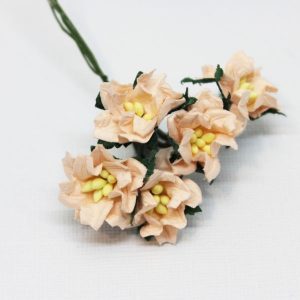 Mulberry Flowers - Gardenia - Small - Soft Peach