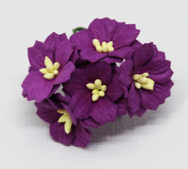 Mulberry Flowers - Apple Blossom - Purple