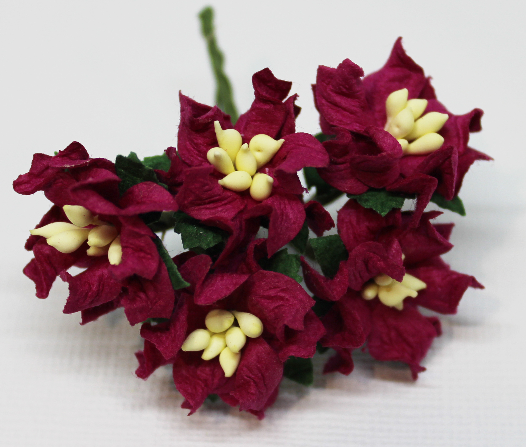 Mulberry Flowers - Gardenia - Small - Claret
