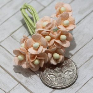 Mulberry Flowers - Sweetheart Mini Blossoms - Soft Peach