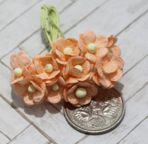 Mulberry Flowers - Sweetheart Mini Blossoms - Peach