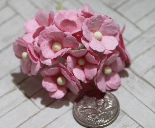 Mulberry Flowers - Sweetheart Blossoms - Soft Pink