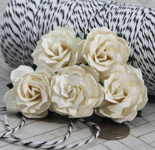 Mulberry Flowers - Wild  Rose 30mm - White