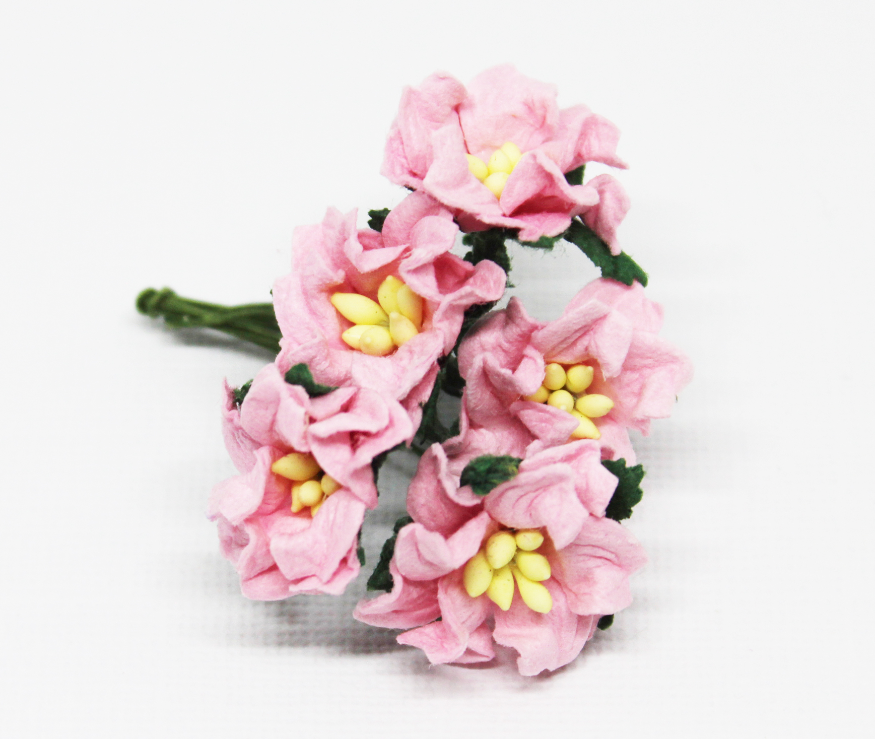 Mulberry Flowers - Gardenia - Small - Pale Pink