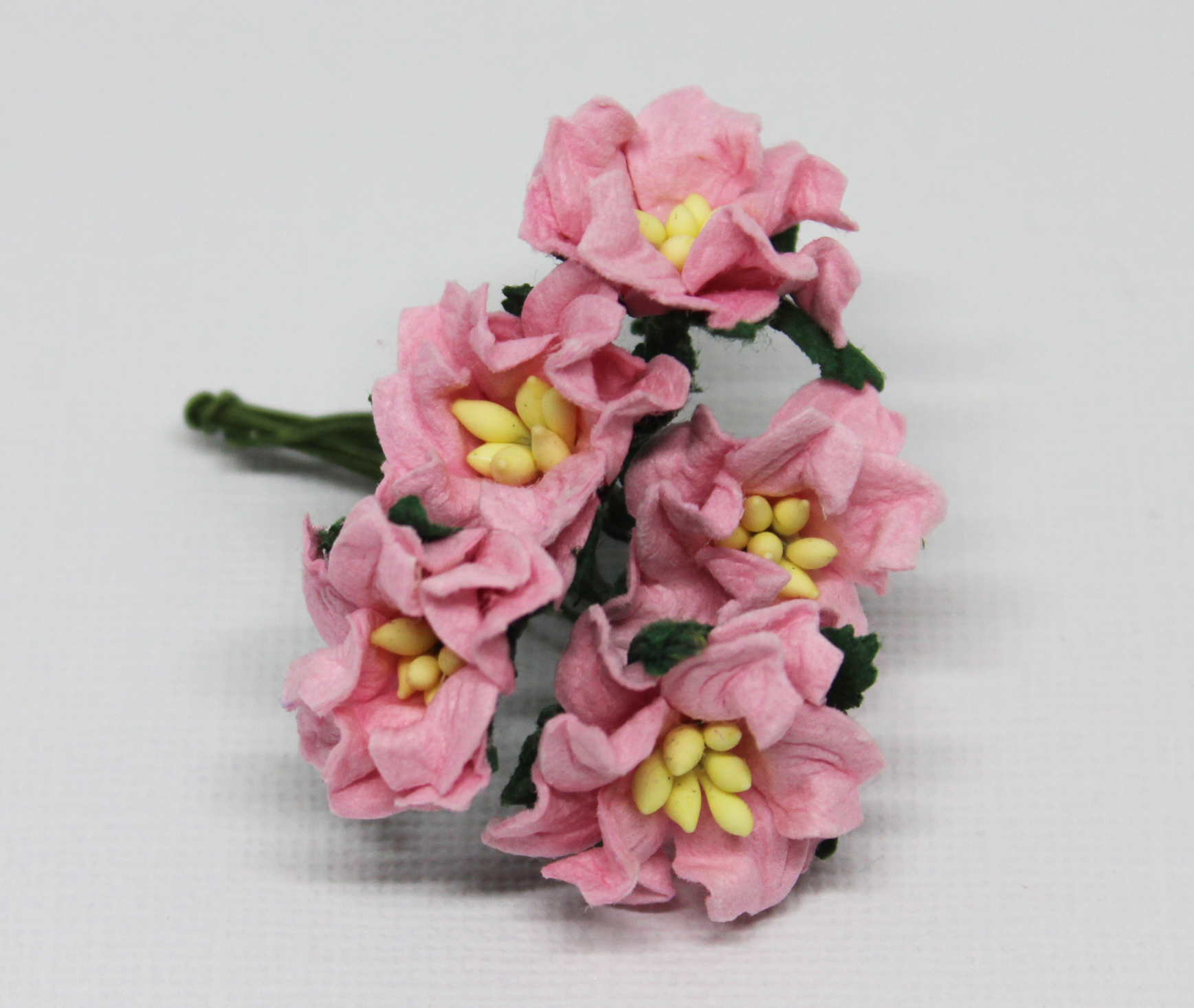 Mulberry Flowers - Gardenia - Small - Pink