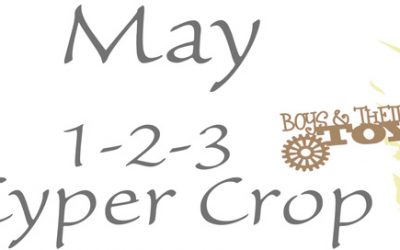 May 1-2-3 Cyber Crop